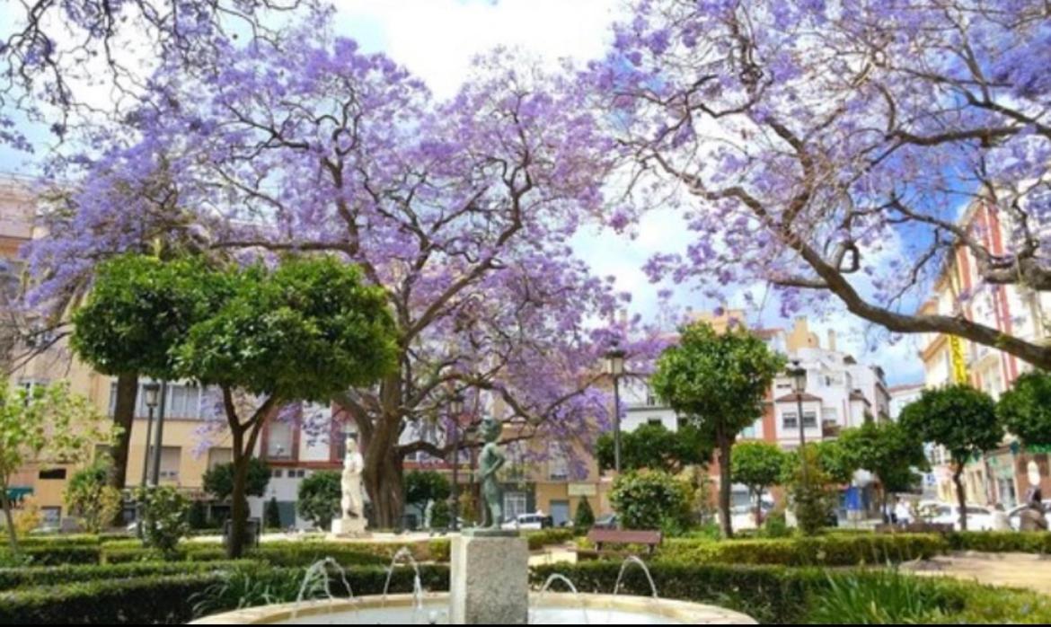 Historical Center Ollerias Lägenhet Málaga Exteriör bild